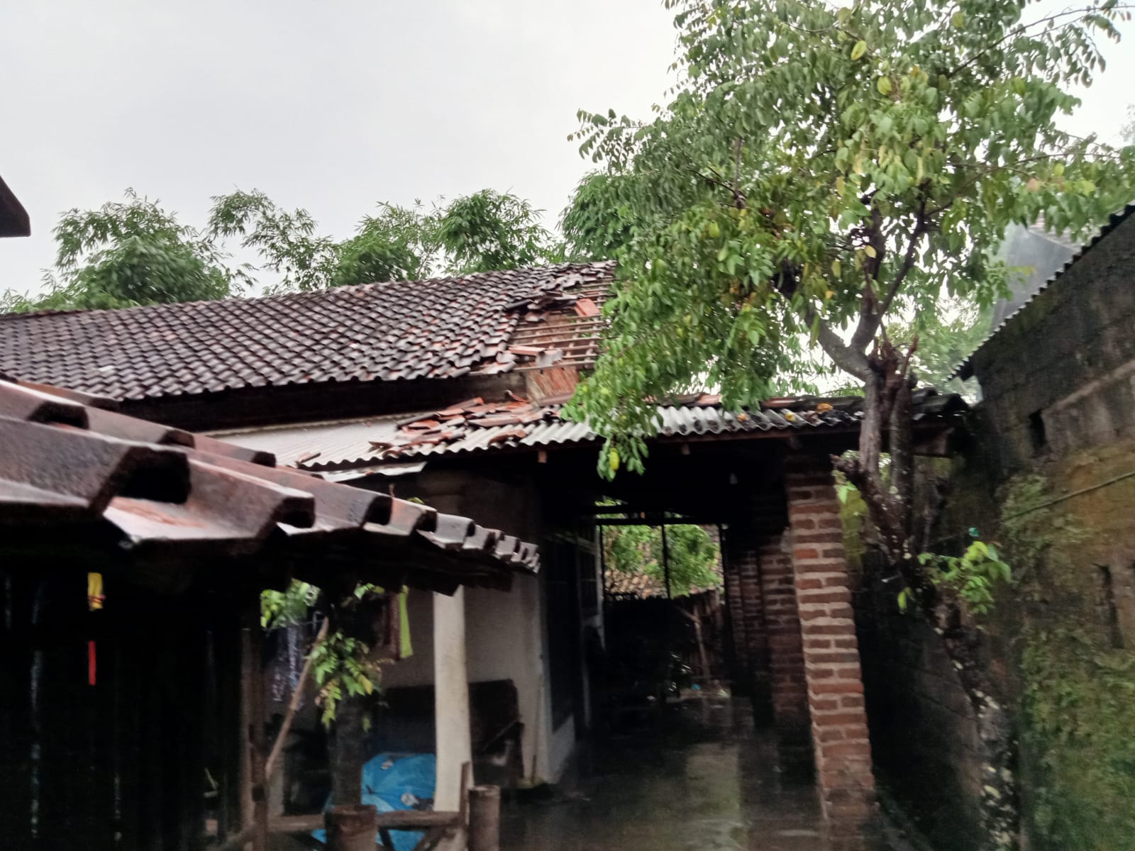 Rumah warga di Desa Sukorejo yang rusak diterpa angin kencang pada Senin (17/1/22) sore.