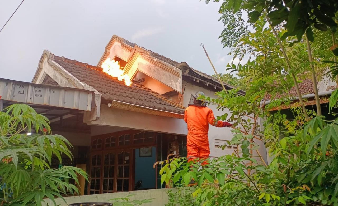 Petugas Damkar Tulungagung saat mengevakuasi tawon vesap di rumah warga.