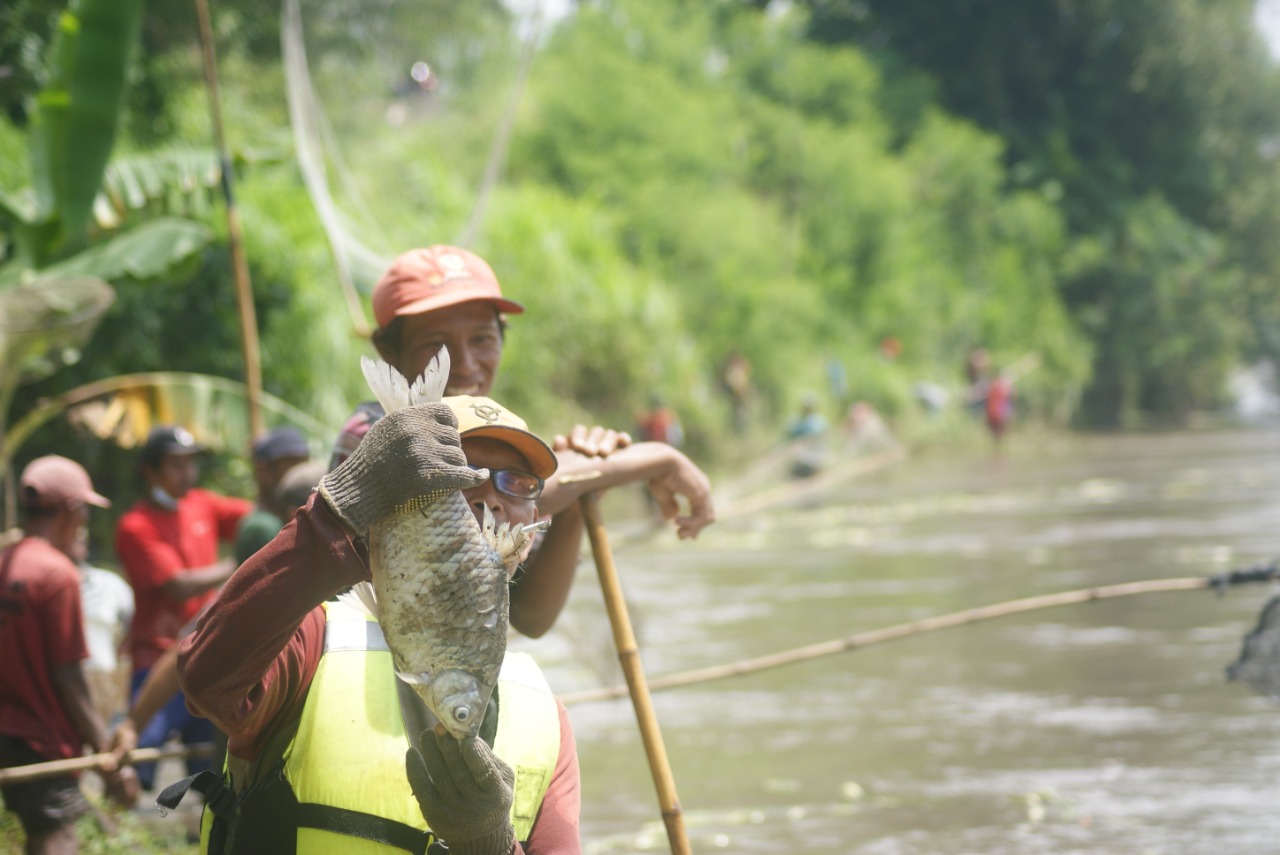 Warga berjajar di tepi sungai Brantas, mencari ikan yang mabuk akibat flushing.