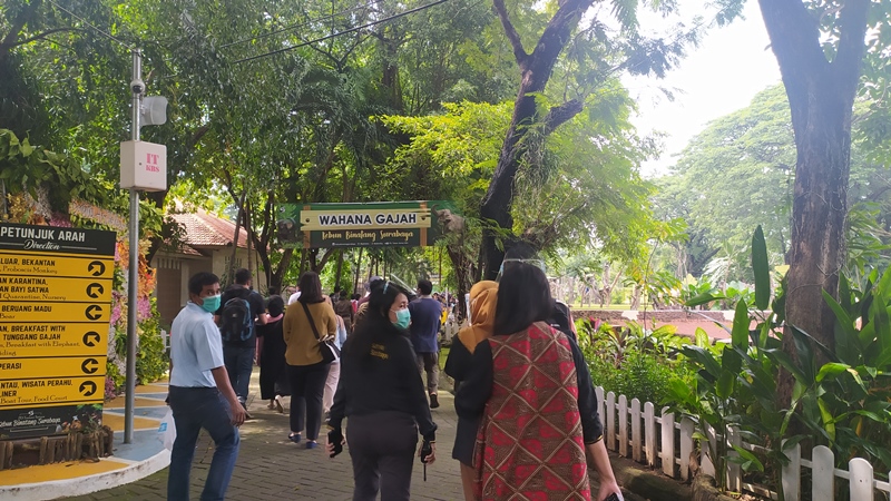Kebun Binatang Surabaya (KBS) sebelum PPKM. (DOK)