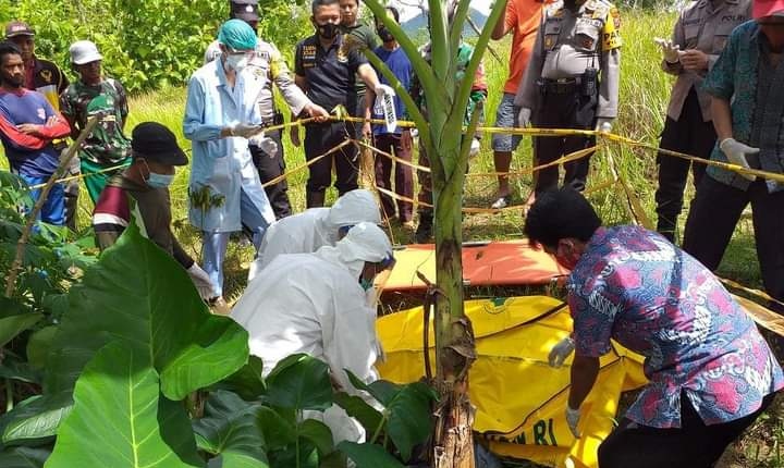 Petugas mengvakuasi mayat di ladang jagung. 