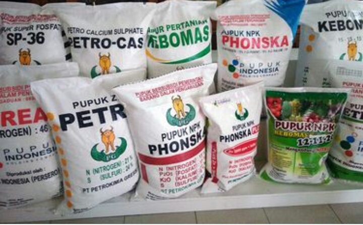 Pupuk subsidi.