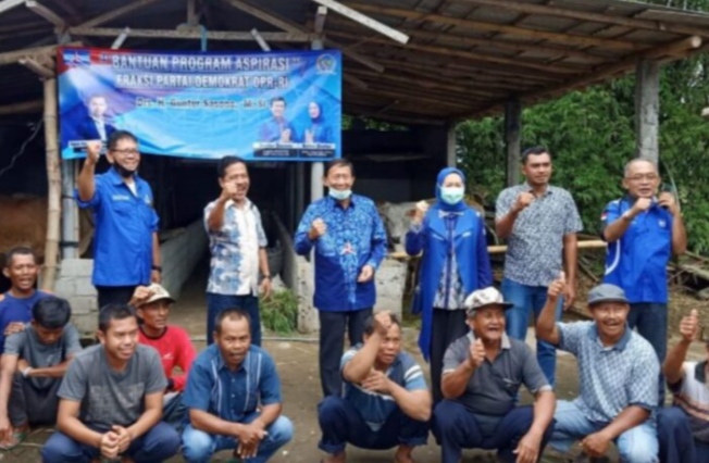 Guntur Sasono Anggota DPR RI dari Partai Demokrat saat serahkan bantuan sapi kepada petetrnak.