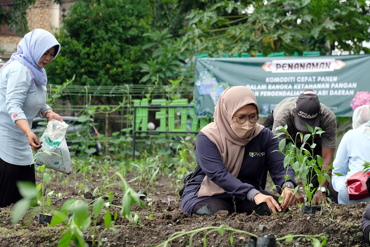 Harga cabai terus naik