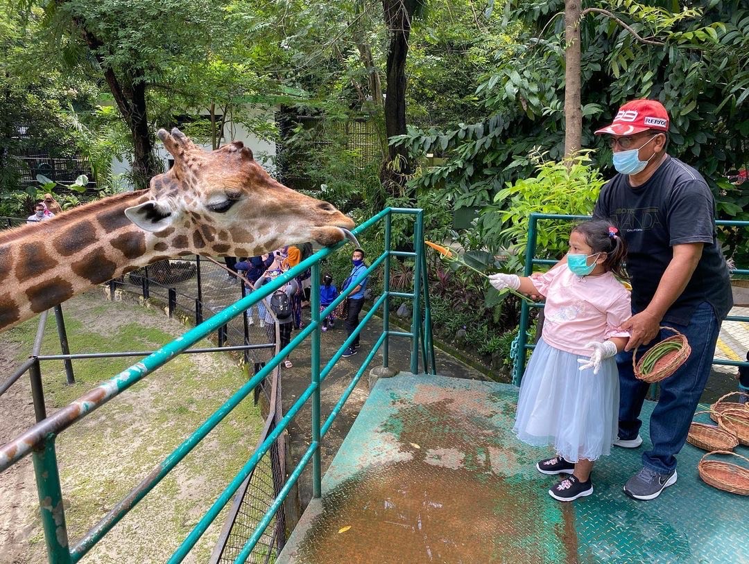 Kebun Binatang Surabaya
