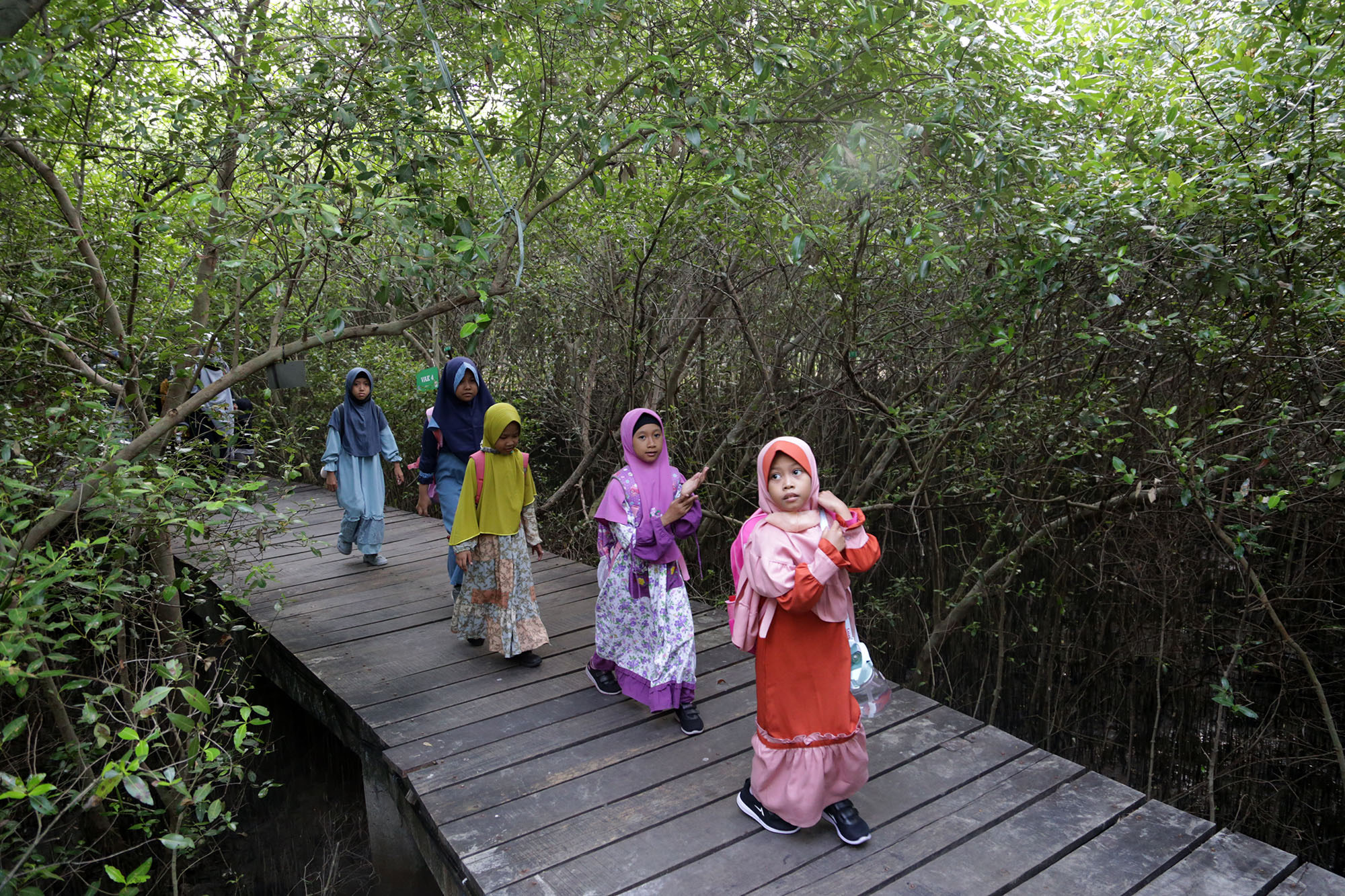 Kebun Raya Mangrove Surabaya