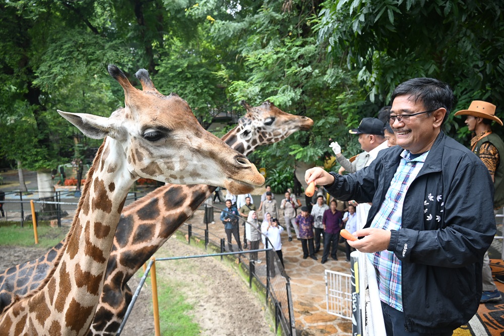 Ketua Tim Kunjungan Kerja Reses Komisi IV DPR RI, Djarot Saiful Hidayat, saat meninjau Kebun Binatang Surabaya (KBS), Jawa Timur. Foto: Parlementaria DPR/Galuh