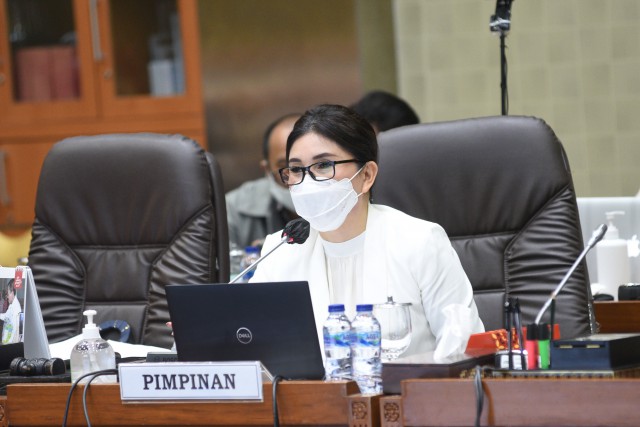 Ketua Komisi IX DPR RI Felly Estelita Runtuwene. (DPR)