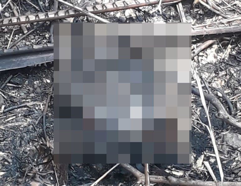 Korban bayi yang dibuang dan dibakar di Jember