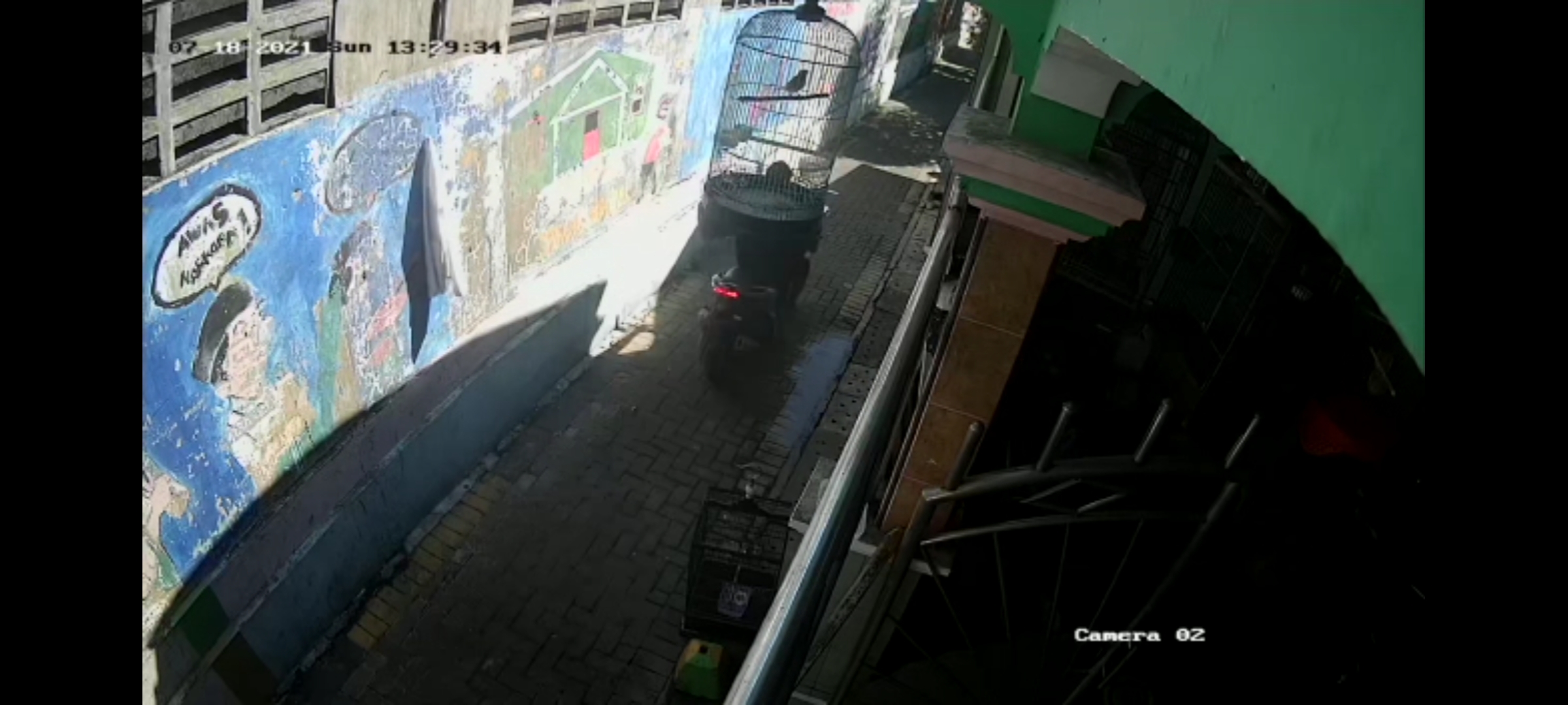 Tangkapan layar aksi pencurian burung di Surabaya.