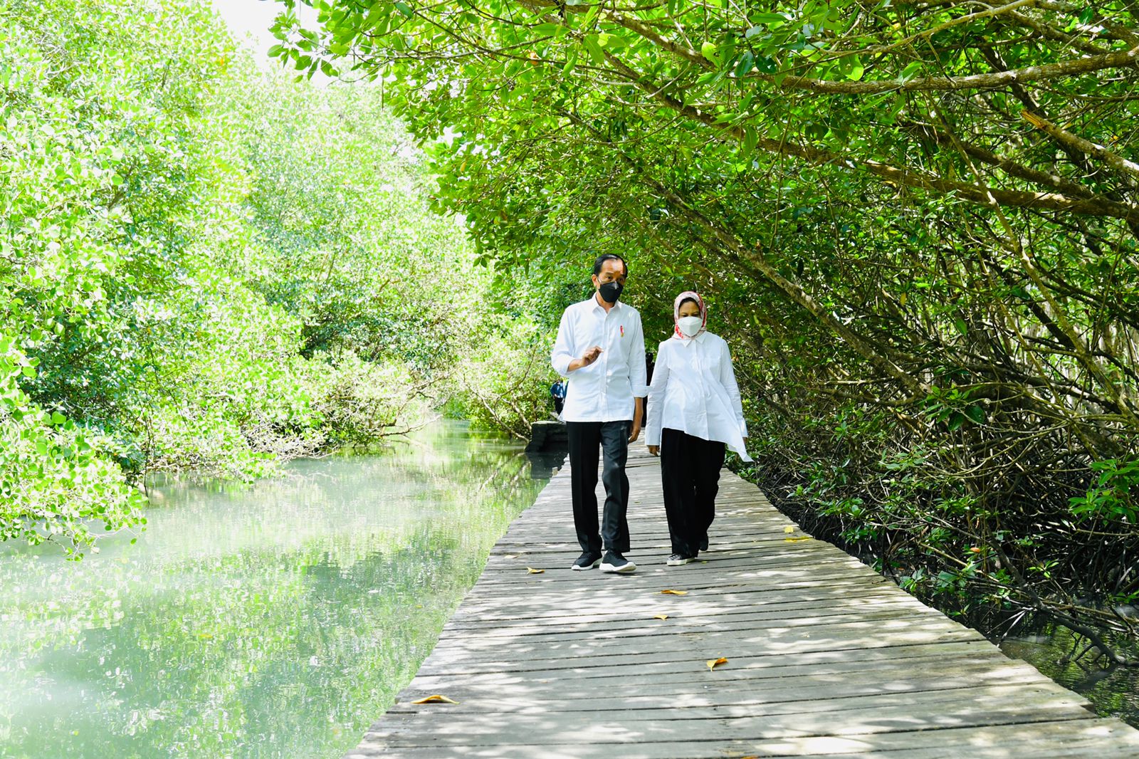 Presiden dan Ibu Negara Iriana Joko Widodo meninjau hutan mangrove di Tahura Ngurah Rai, Kabupaten Badung, Bali, Jumat (08/10/2021).