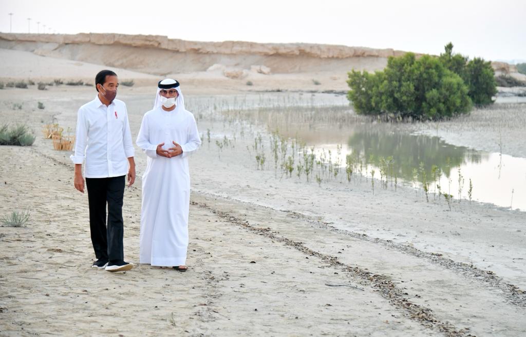 Presiden Joko Widodo bersama Menteri Energi dan Infrastruktur PEA Suhail Al Mazrouei berjalan di Jubail Mangrove Park yang terletak di Pulau Al Jubail, Abu Dhabi, PEA. (Setpres)