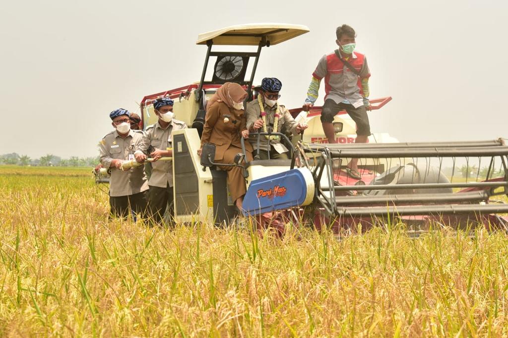 peringatan Hari Pangan Sedunia (HPS) ke 41 yang dihelat secara langsung di hamparan persawahan Desa Jagapura Wetan, Kecamatan Gegesik, Kabupaten Cirebon, Jawa Barat.