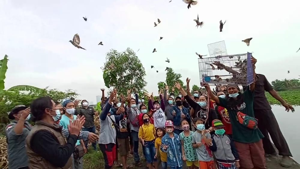 Organisasi pecinta alam dan simpatisan melepas liarkan burung