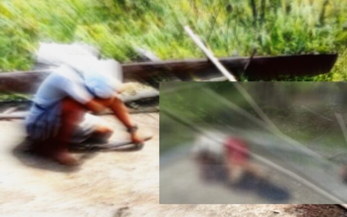 Lokasi kejadian pembantaian di Desa Kalemago, Kecamatan Lore Timur, Kabupaten Poso.