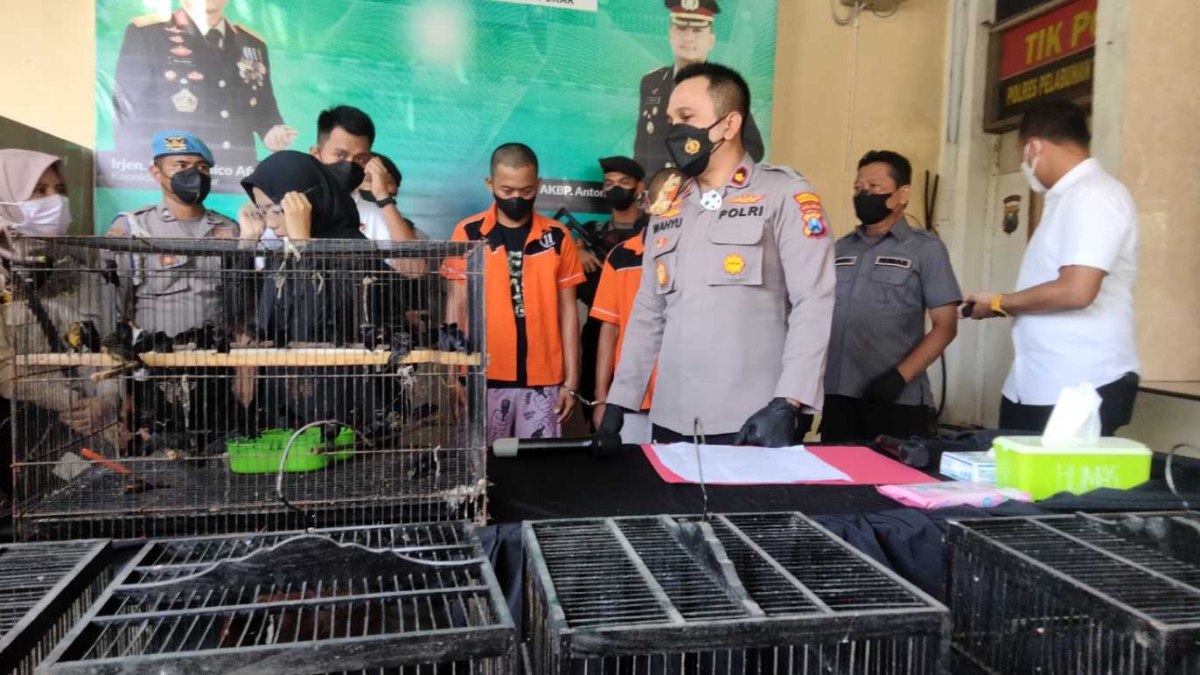 Dua Pelaku Penjual Burung dan Wakapolres Tanjung Perak.