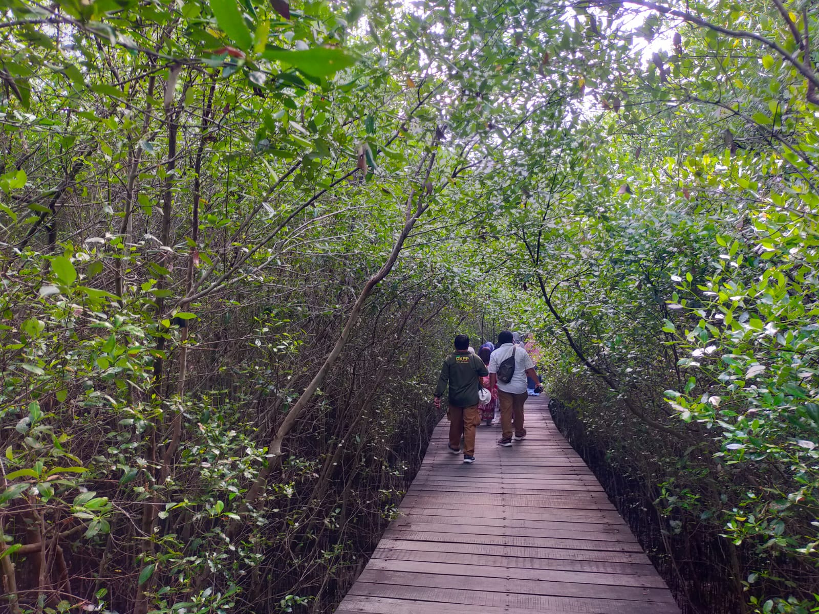 Kebun Raya Mangrove Surabaya