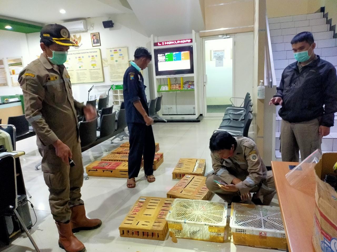 Penyelundupan 380 burung kicau berbagai jenis asal NTT yang digagalkan Karantina Pertanian Surabaya