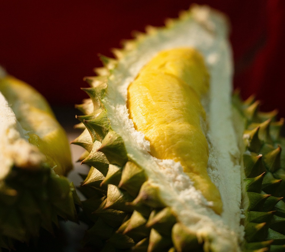Buah durian tak hanya lezat dan nikmat. (pexels.com/hong son)