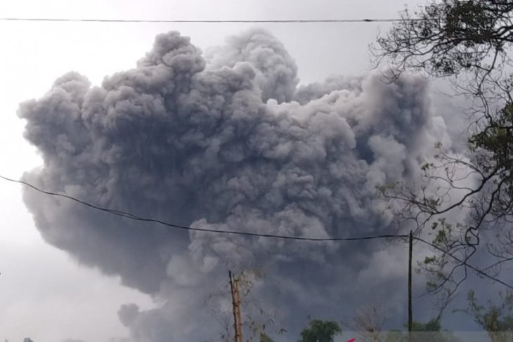 Awan panas guguran Gunung Semeru pada Sabtu (16/1/2021) sore di Kabupaten Lumajang. | BNPB