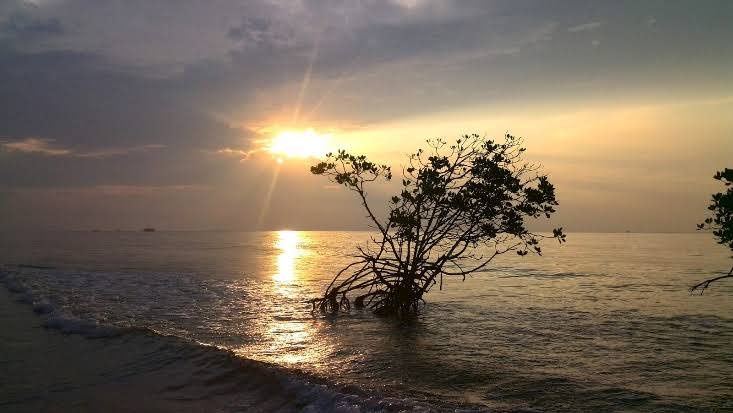 Penampakan sisi Pulau Laki, Kepulauan Seribu yang dinilai sebagai pulau telantar.