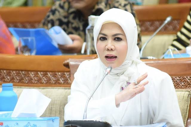 Anggota Komisi VI DPR RI Intan Fauzi. (DPR)