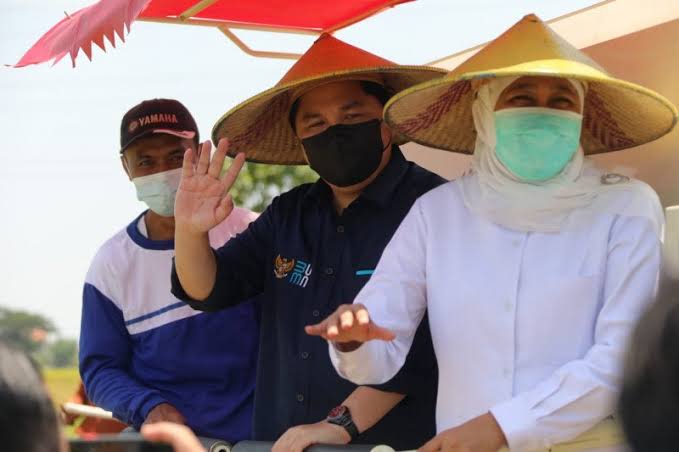 Menteri BUMN Erick Thohir bersama Gubernur Jawa Timur, Khofifah Indra Parawansa saat panen raya di Desa Tambakrejo, Kecamatan Duduk Sampean Kabupaten Gresik, Jatim, Jumat (12/3) 