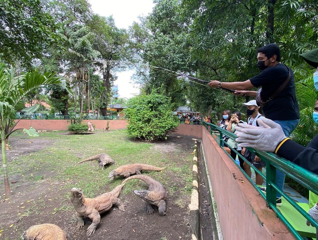 Kebun Binatang Surabaya