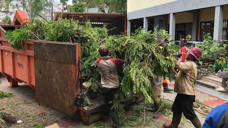 Perantingan pohon oleh petugas DKRTH Surabaya.