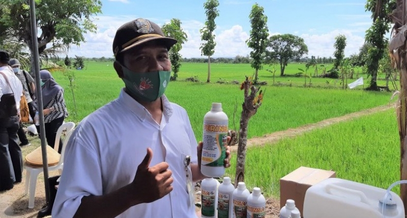 Akhmad Sokhe temukan cara kreatif kendalikan hama tikus. (Ditjan Tanaman Pangan)