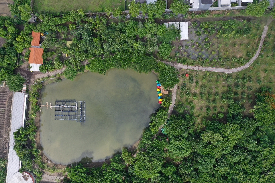 Taman Hutan Raya