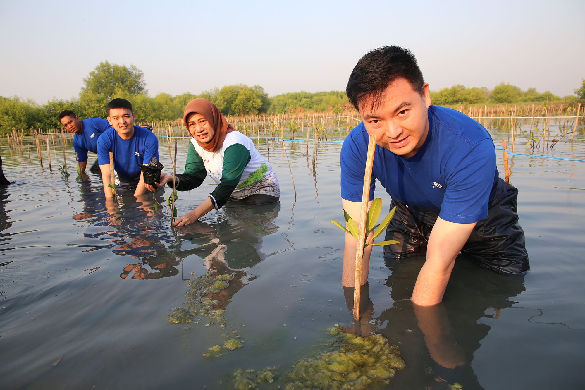 Peringatan HUT ke-1 KRM ditandai dengan kegiatan penanaman 3000 bibit mangrove di Kebun Raya Mangrove Gunung Anyar Surabaya, Jumat (26/7/2024).