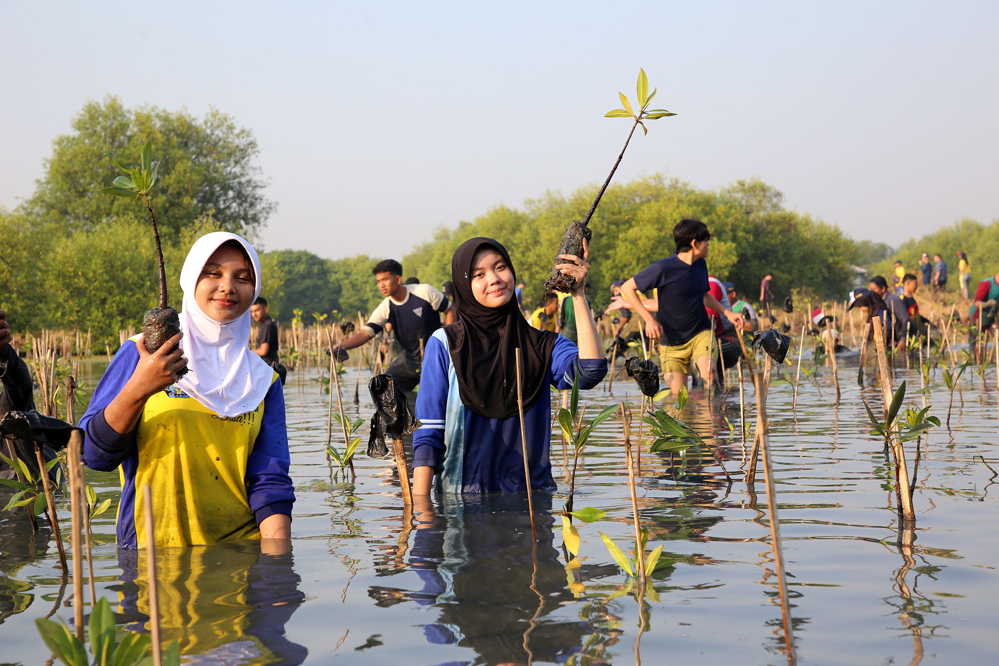 Penanaman 3000 bibit mangrove di Kebun Raya Mangrove (KRM) Gunung Anyar Kota Surabaya