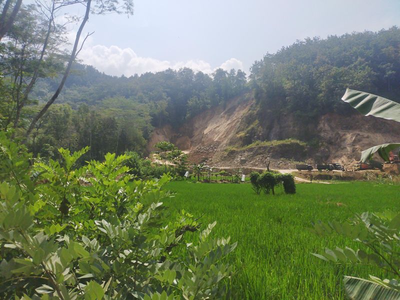 Runtuhnya sebagian tebing setinggi 7 meter di kawasan hutan, di wilayah Perhutani, Kabupaten Trenggalek.